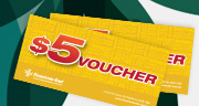 LinkPoints-5voucher